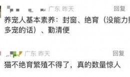 今日关注dv现场爆料,dv现场爆料，揭秘热点事件背后真相